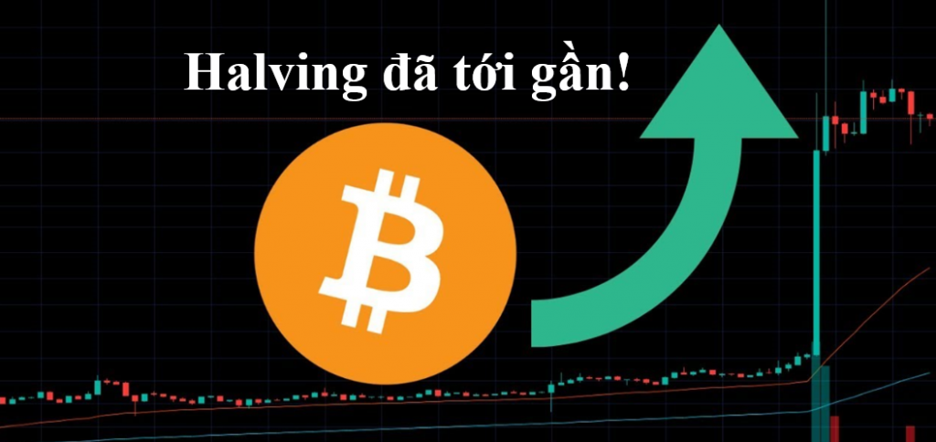 Bitcoin điều chỉnh nhẹ xuống dưới 7K tăng lên bao nhiêu khi Halving? Bitcoin Halving ngày 12/04/2020