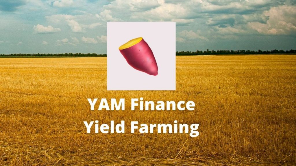 Nền tảng Yam 2.0 ra đời 