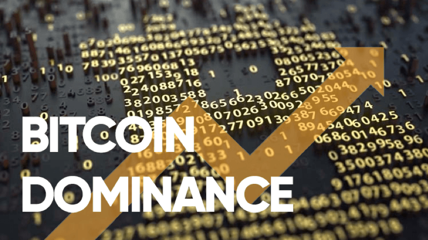 Bitcoin dominance btc.d là gì? Những điều nhất định phải biết về Bitcoin dominance