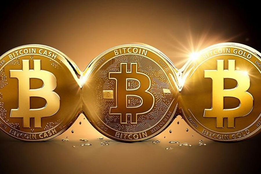Bitcoin được giao dịch thông qua mạng internet