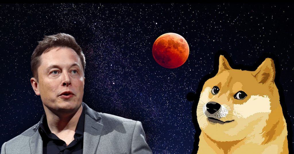 “…literal moon…”: Elon Musk lại giúp Dogecoin tăng 35% elon musk doge