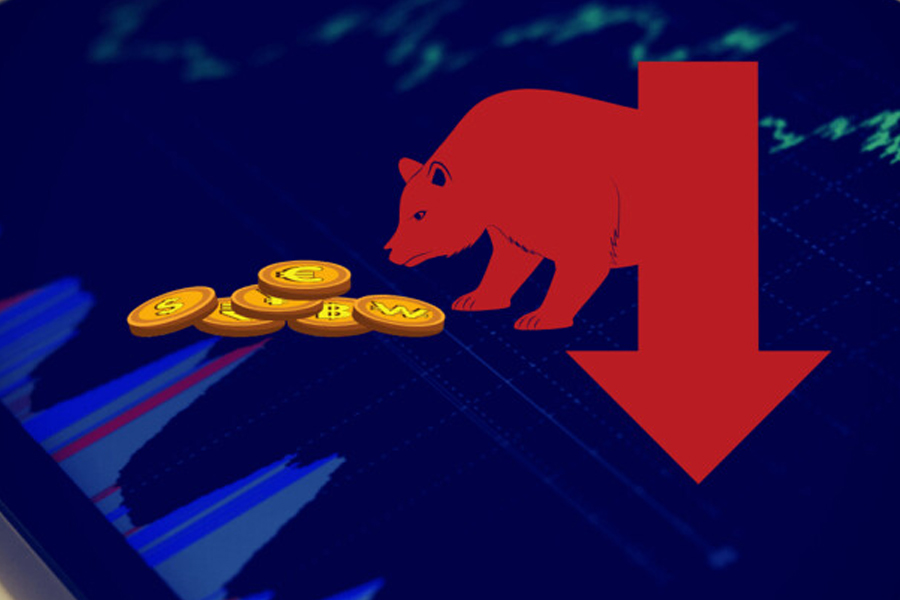 Gấu là biểu tượng cho thị trường bear market 