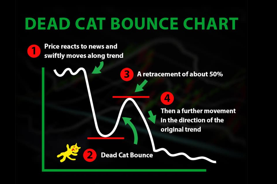 Hình dáng của một biểu đồ "cú nảy mèo chết"