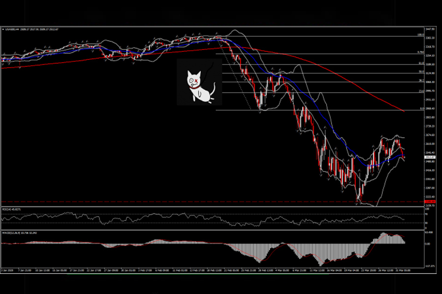 Cách sử dụng mô hình Dead Cat Bounce 