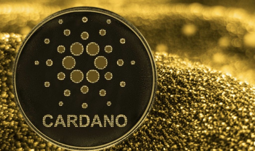 peer review system cardano