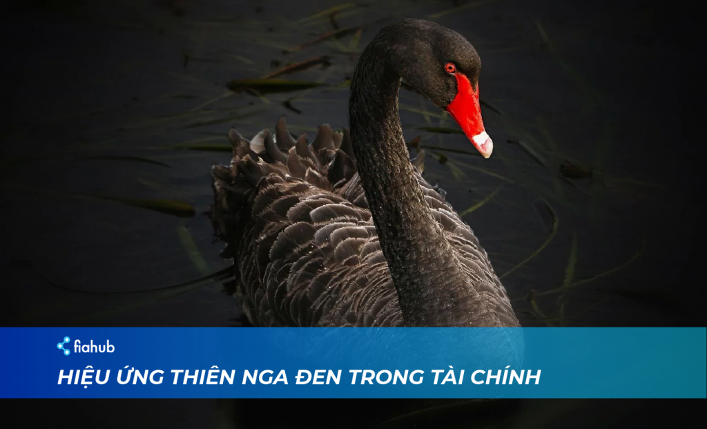 Hiệu ứng thiên nga đen trong thị trường tài chính tiền điện tử thiên nga đen trong tài chính