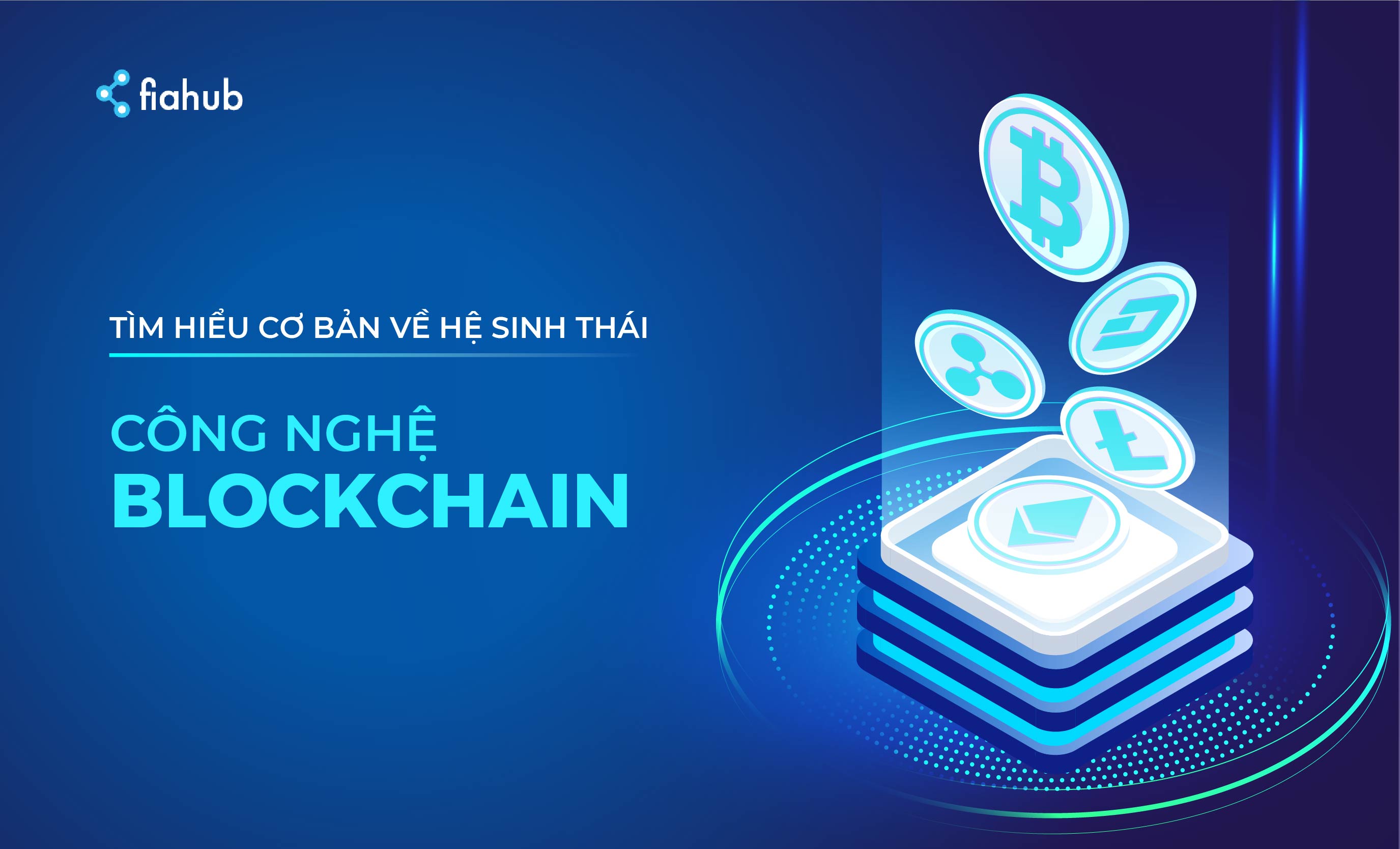 TÌM HIỂU CƠ BẢN VỀ HỆ SINH THÁI TRONG CÔNG NGHỆ BLOCKCHAIN - Fiahub