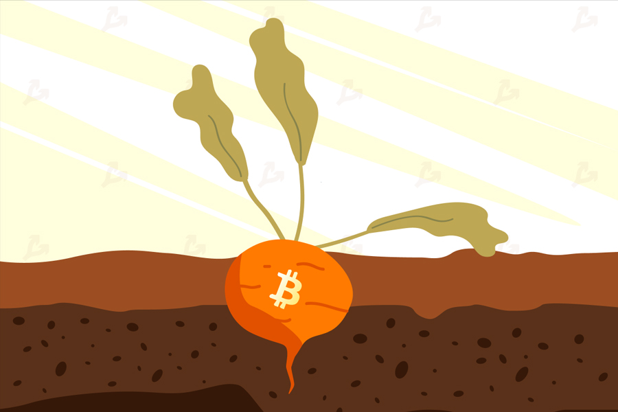 hình ảnh minh họa về taproot bitcoin