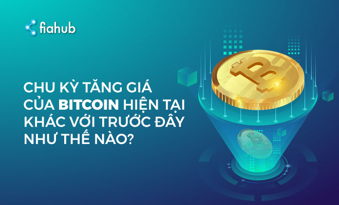 chu kỳ tăng giá của Bitcoin