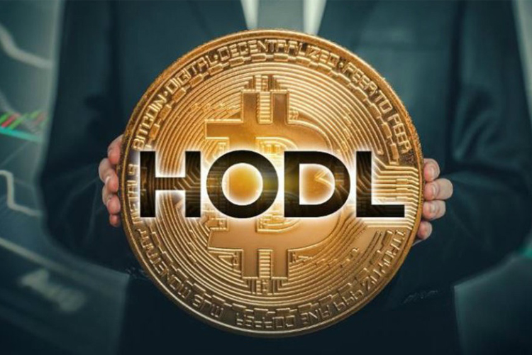 Buy Sell, crypto, Hoding, Trading, Hodl, Trader, Holder, mua bán BTC, mua bán coin, hold coin