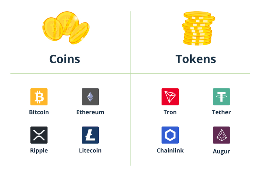 phân biệt coin và token