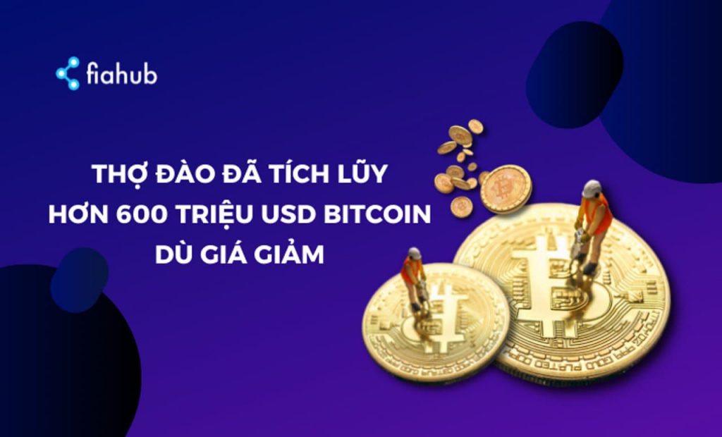 Trong 6 tháng, thợ đào đã tích lũy hơn 600 triệu USD từ BTC dù giá giảm. thợ đào đã tích lũy hơn 14.000 BTC