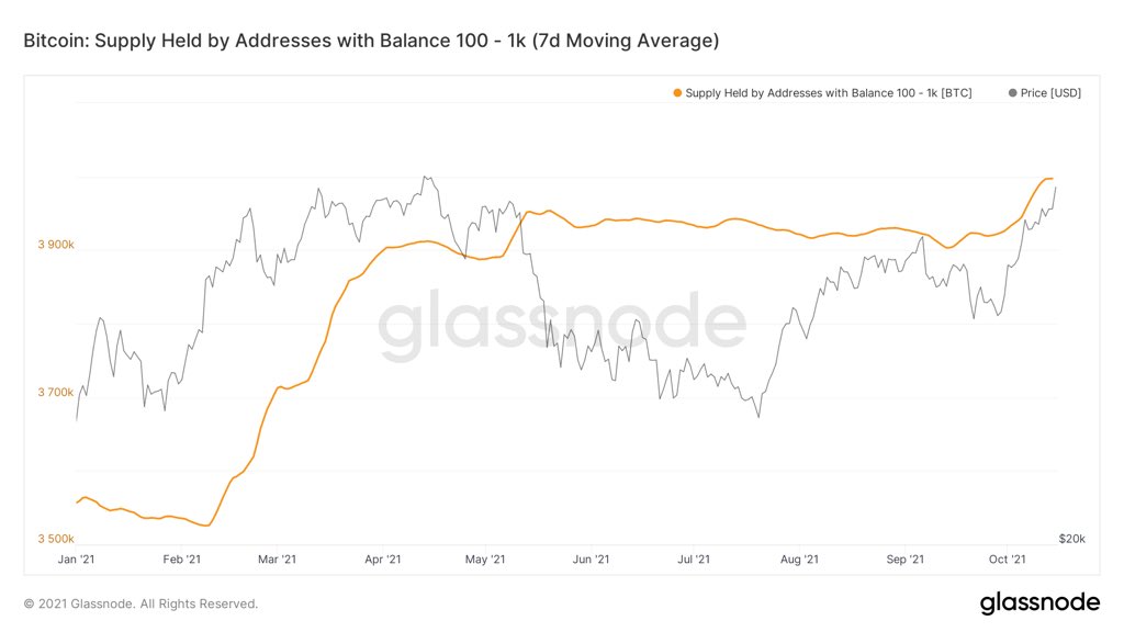 Nguồn cung được nắm giữ bởi các tài khoản có từ 100 - 1,000 BTC đang tăng lên.