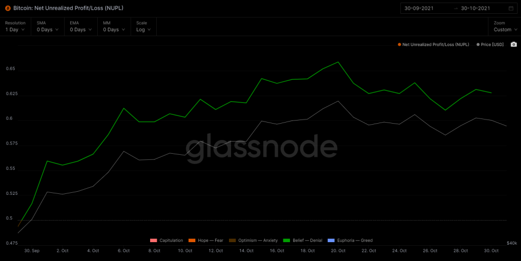 Chỉ số NUPL trên glassnode. Nguồn: glassnode.