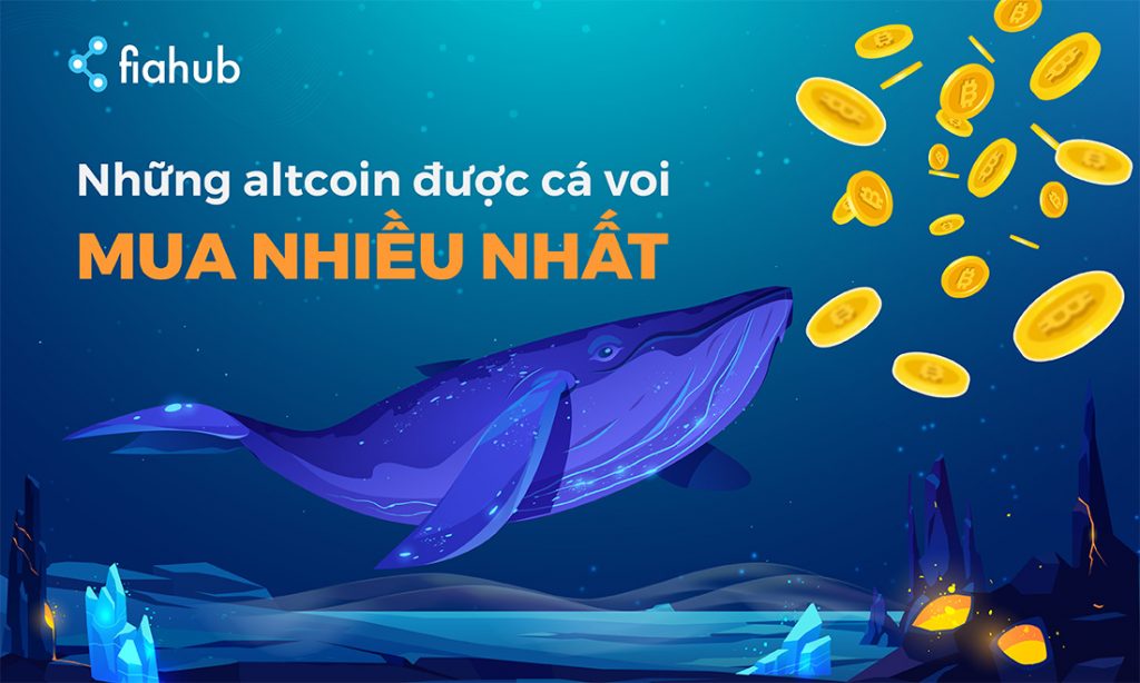 Danh sách những Altcoin được cá voi mua vào nhiều nhất Altcoin, cá voi, ETH, BTC