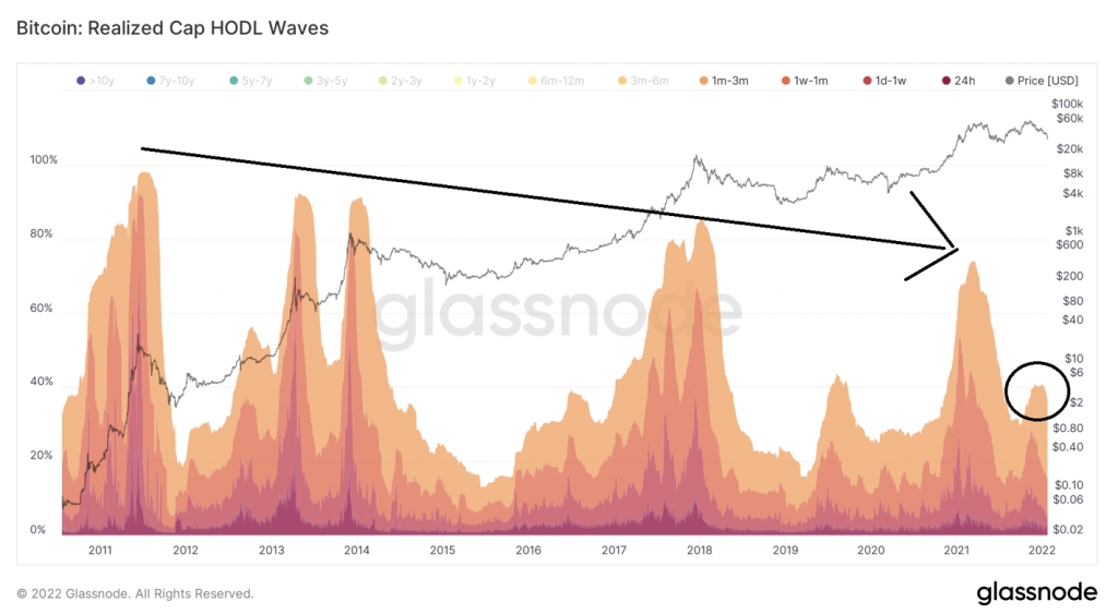 Chỉ số on-chain HODL wave