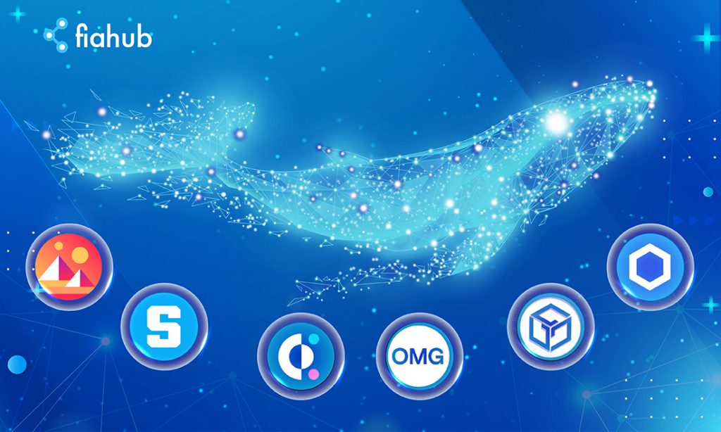 Đây là 6 Altcoin mà cá voi ETH đang tích cực mua vào trong 10 ngày qua? 6 Altcoin cá voi mua vào, Bitcoin, Ethereum, cá voi crypto