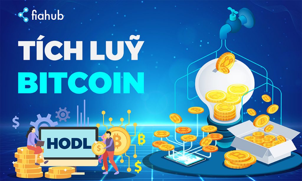 Bitcoin, BTC, Hodl, tích luỹ, hold