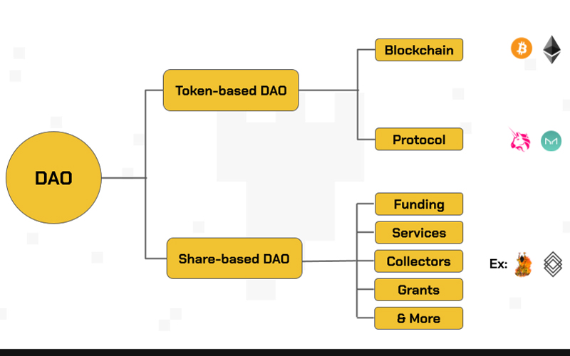 DAO hoạt động theo 2 loại là Token-based DAO và Share-based DAO.