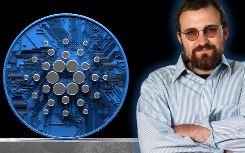 Charles Hoskinson giám đốc của Cardano 