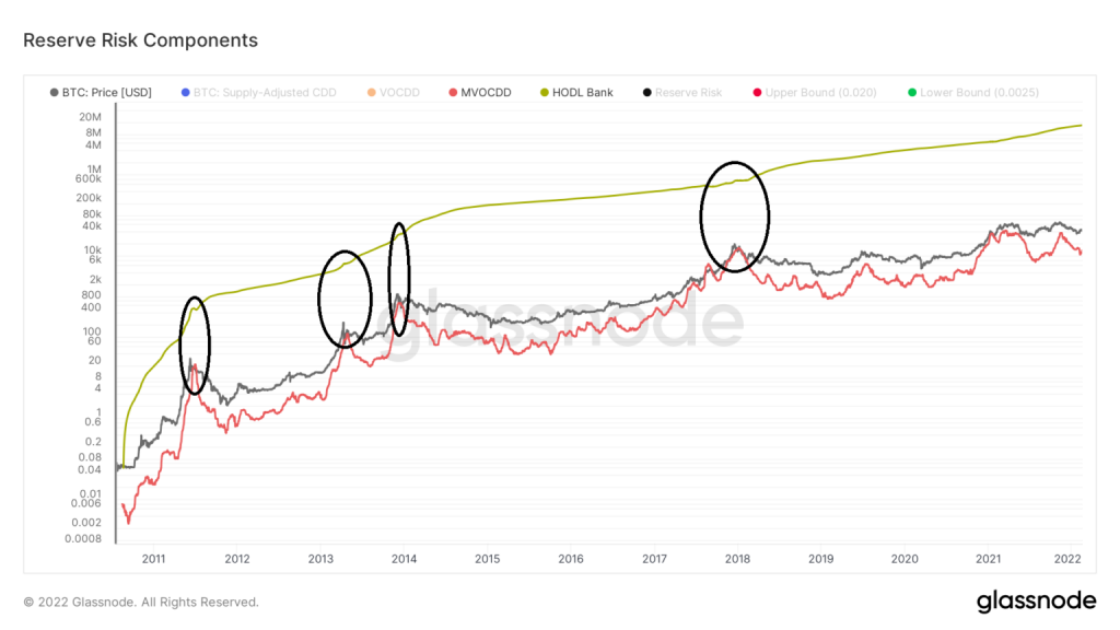 Bitcoin reserve risk components