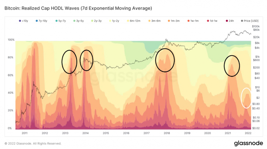 Chỉ số HODL Waves