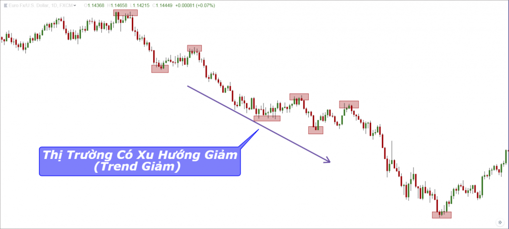 Price Action, biểu đồ nến, line, candle