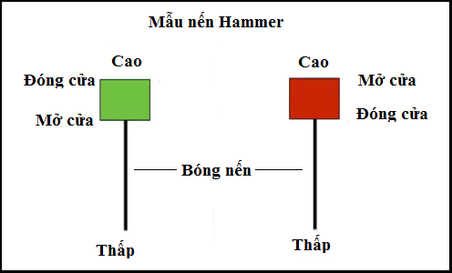 Price Action, biểu đồ nến, line, candle