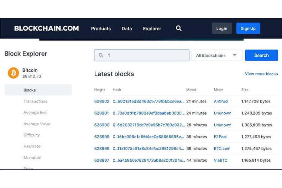 giao diện của blockchain explorer 