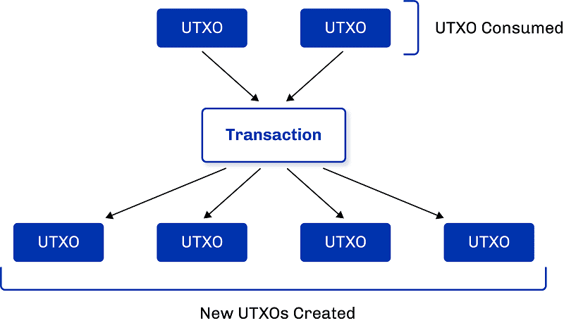 UTXO, Bitcoin, Litecoin, Blockchain