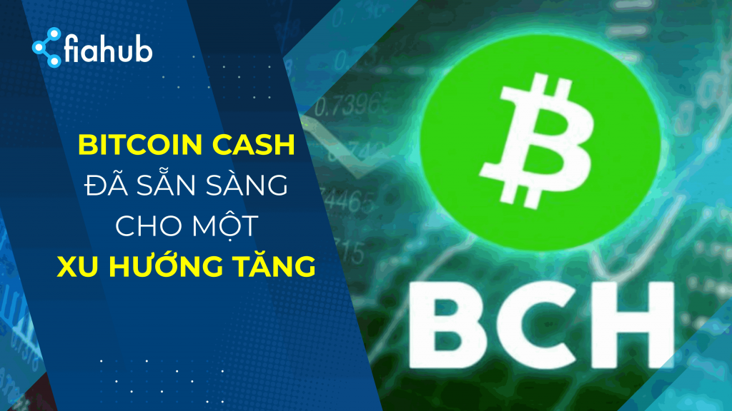Bitcoin Cash: Biểu đồ giá BCH đã sẵn sàng cho một xu hướng tăng mới