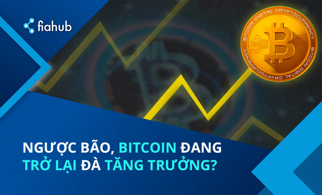“Đám mây Ichimoku” chỉ ra Bitcoin sẽ tăng giá trở lại