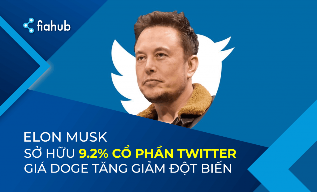 Dogecoin tăng giảm đột biến Elon Musk nắm 9.2% cổ phần Twitter