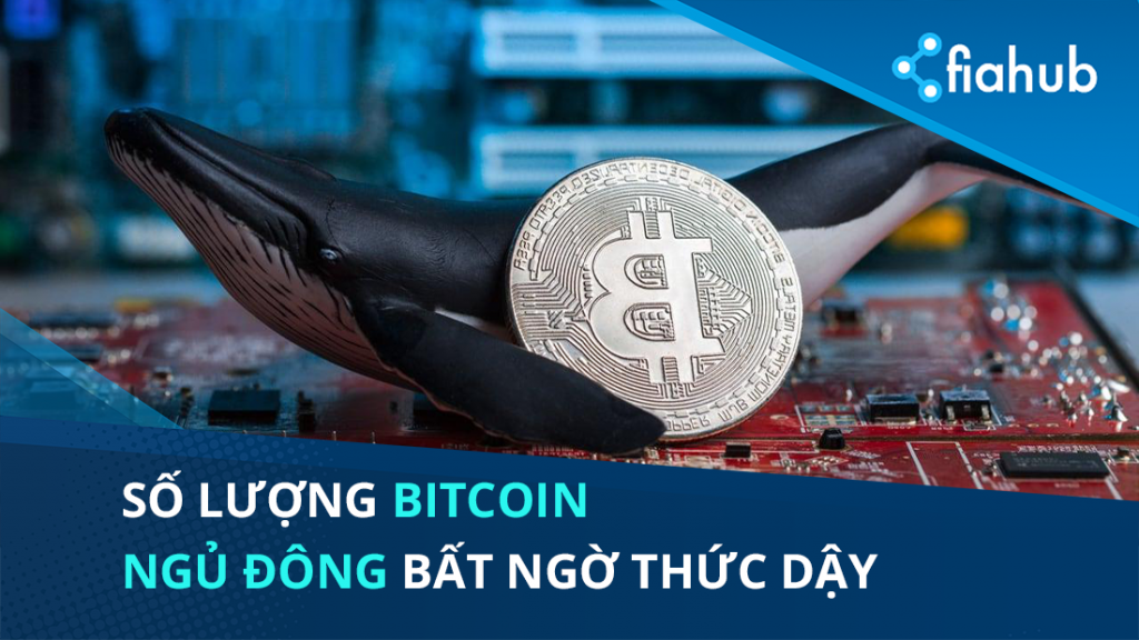 Số lượng Bitcoin ngủ đông hơn 7 năm bất ngờ được giao dịch trở lại trước khi giá BTC giảm 5%