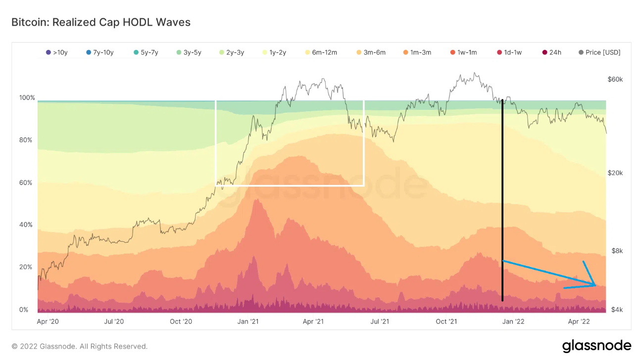 Bitcoin: Realized Cap HODL Waves. Nguồn: BeInCrypto