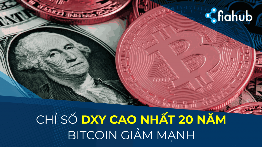 Đồng đô la đang ở mức cao nhất trong 20 năm