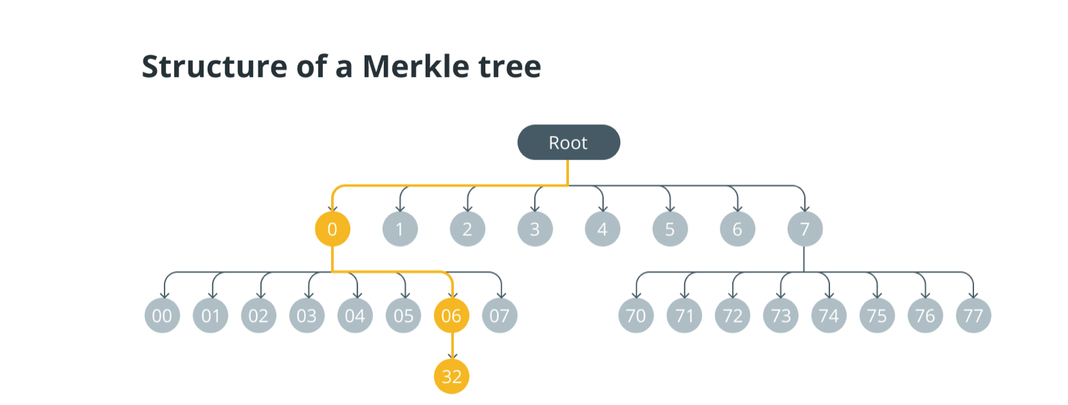 Merkels Trees, Blockchain, BTC