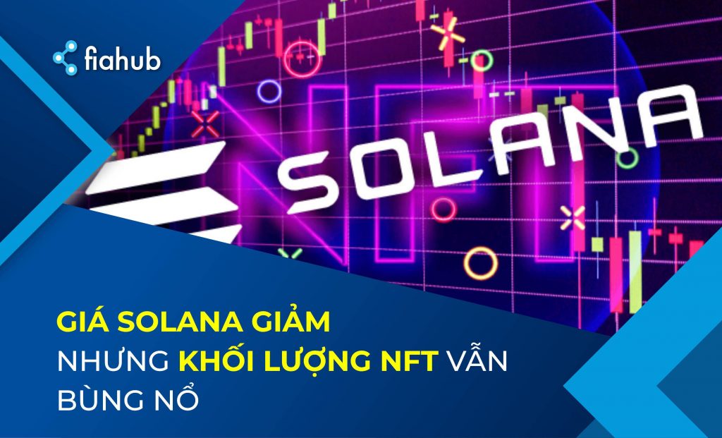 Giá Solana giảm 55% trong tháng 11 nhưng khối lượng giao dịch NFT vẫn bùng nổ