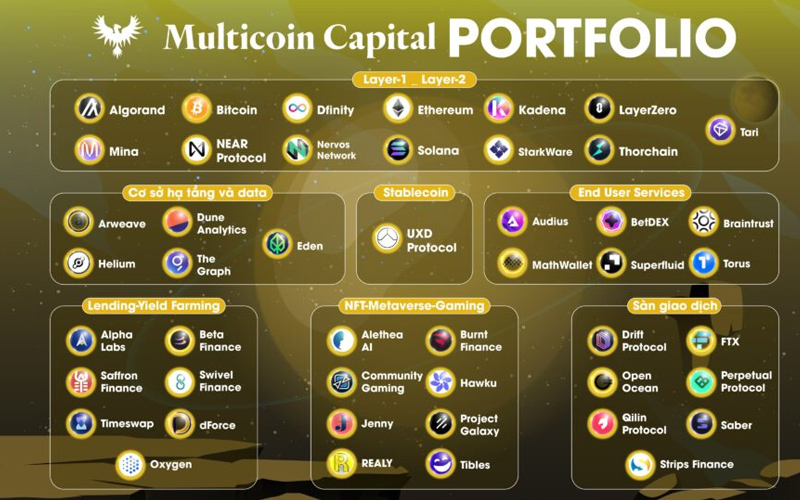 hạn mục đầu tư của multicoin