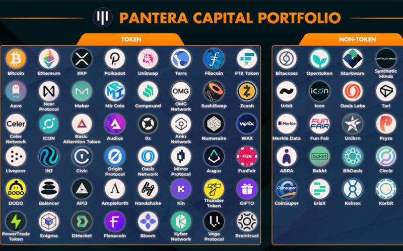 hạng mục đầu tư của pantera