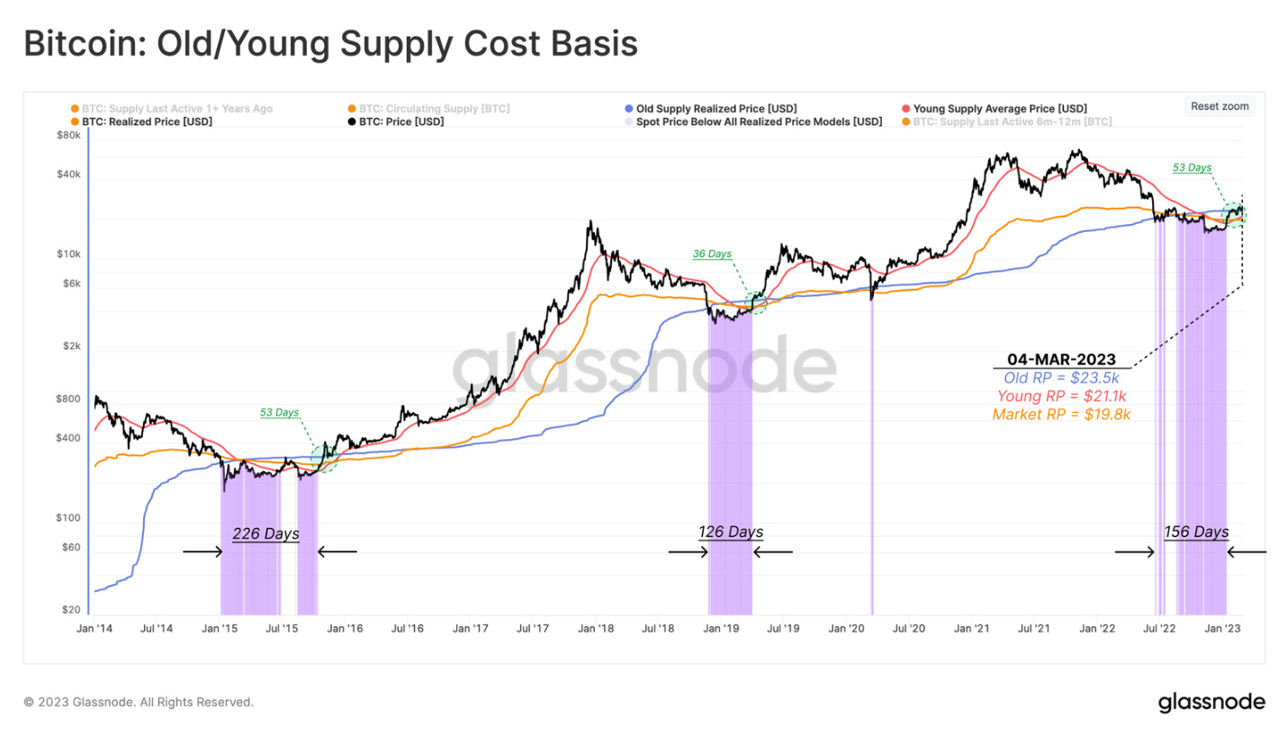 Chỉ số Bitcoin supply cost basis