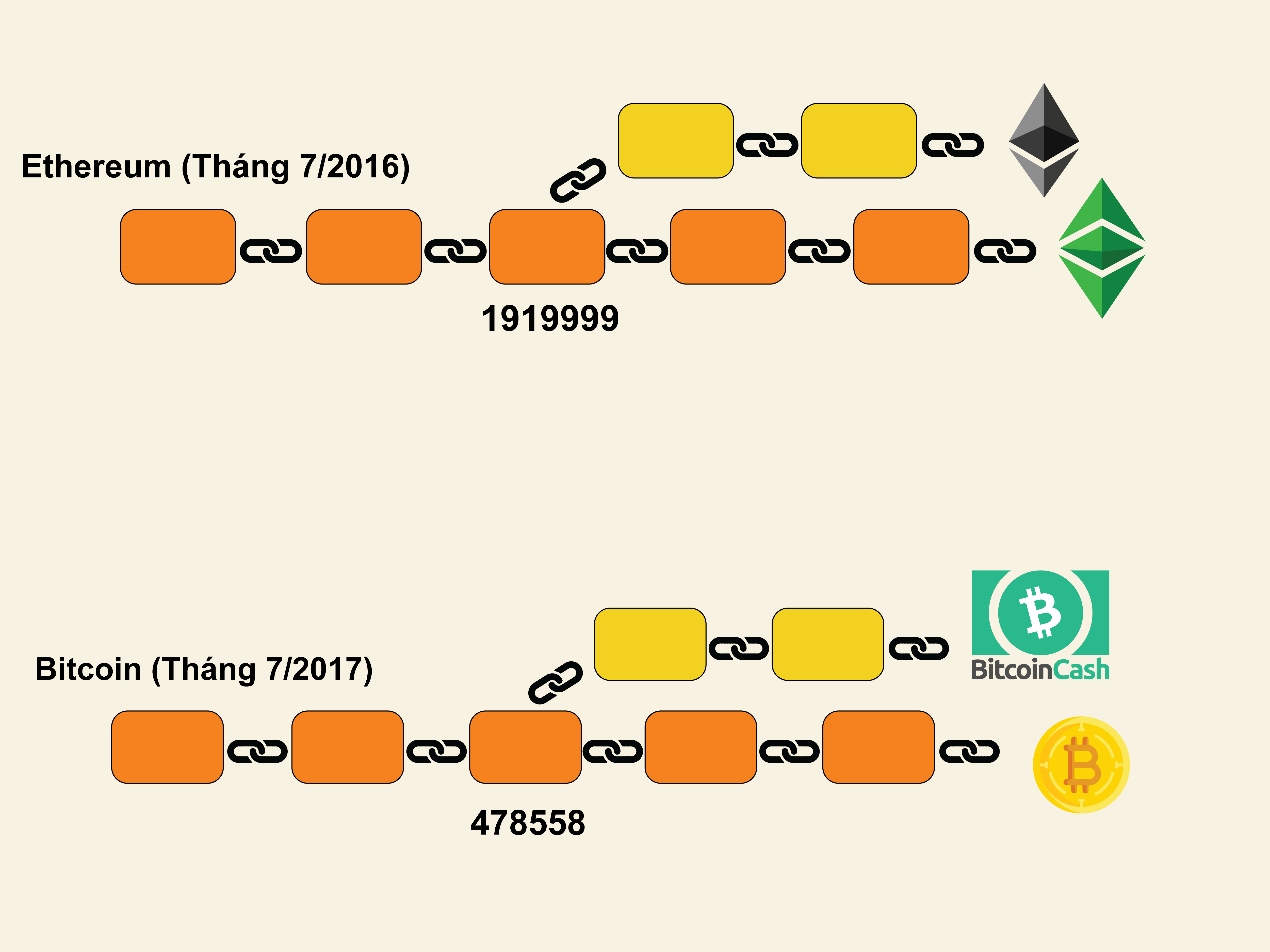 Hard Fork