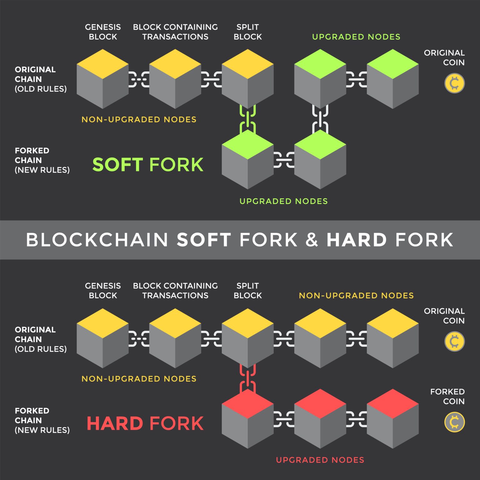 Hard Fork