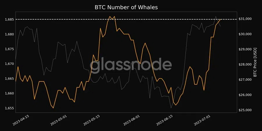 Số lượng ví cá voi BTC. Nguồn: Glassnode