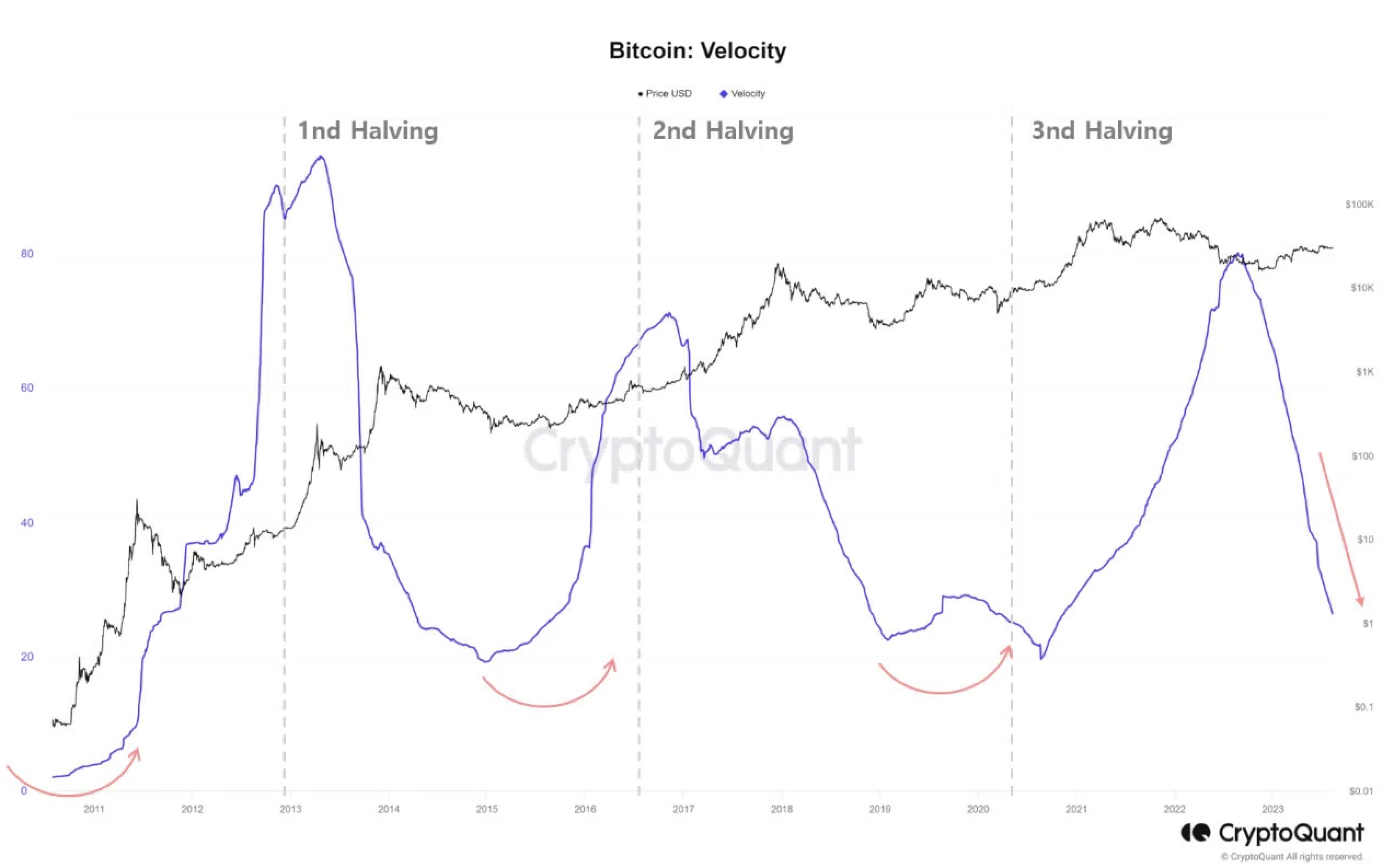 Bitcoin Velocity Speed