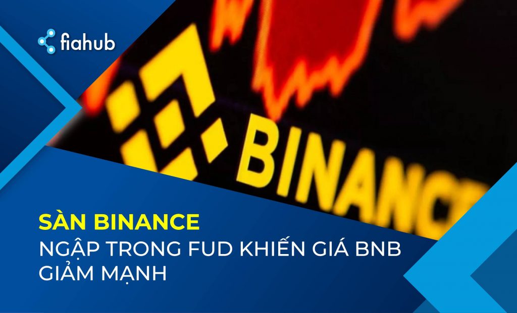 Binance tạm dừng thanh toán SEPA, đồng BNB ngập trong FUD