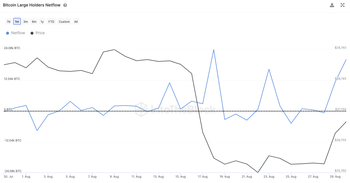 Bitcoin large holders netflow