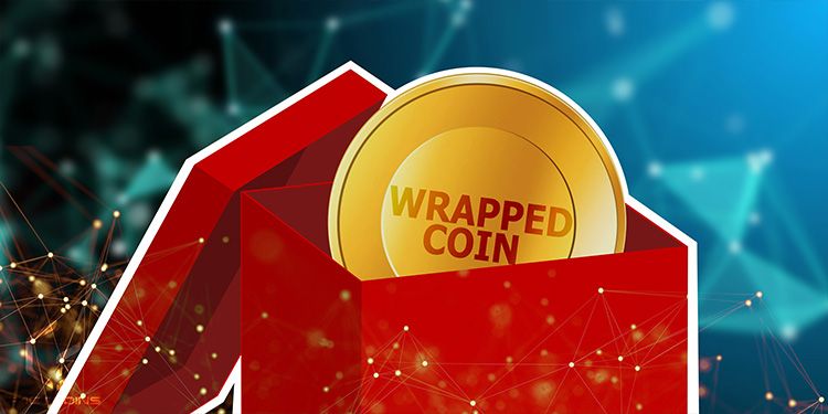 Wrapped Token