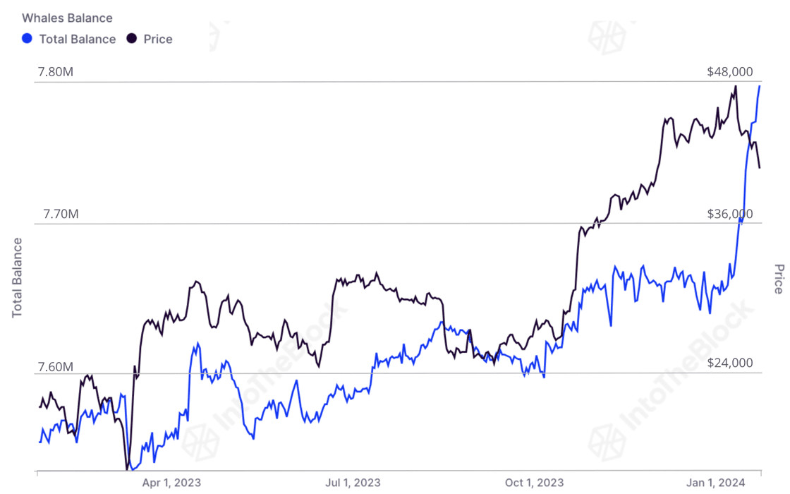 Tỷ lệ nắm giữ của các cá voi Bitcoin