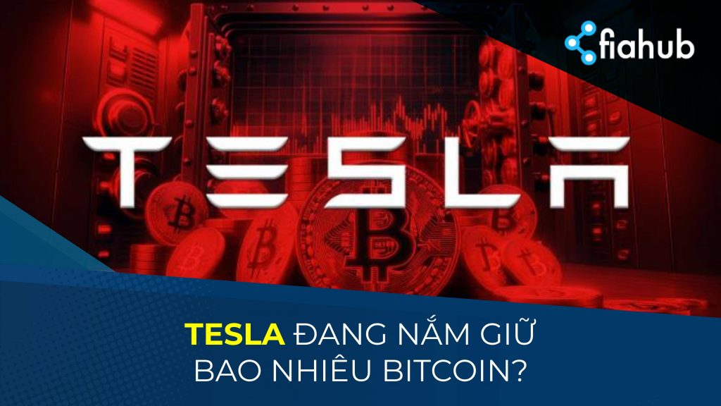 Tiết lộ thú vị của Arkham Intelligence từ việc theo dõi ví Bitcoin của Tesla & SpaceX